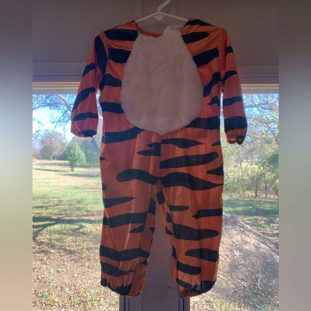Infant costume